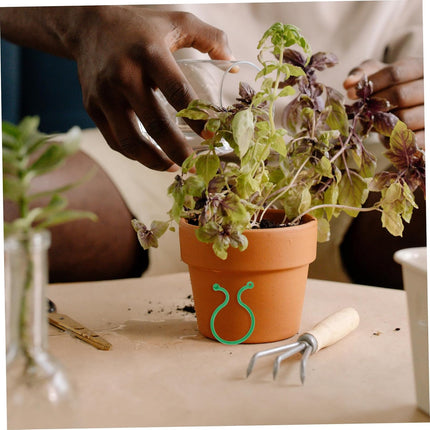 Plant clips - Plant binders - Binding clips - Garden clips - Plant rings - Mounting clips - Plant supports - Vegetable garden accessories - Growing supplies - Climbing plants - Guides - Garden articles - Green - 100 pieces.