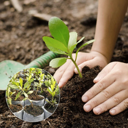Grow Bags - Gardening - Grow Pots - Vegetable Garden - Seedlings - Plant Bags - Non-woven Grow Bags - Growing Set - Breathable Fleece - Plant Pots - Garden - Sowing - Cuttings - Vegetables - Fruit - Plant Bag - Vegetable Gardening - Sustainable - White -.