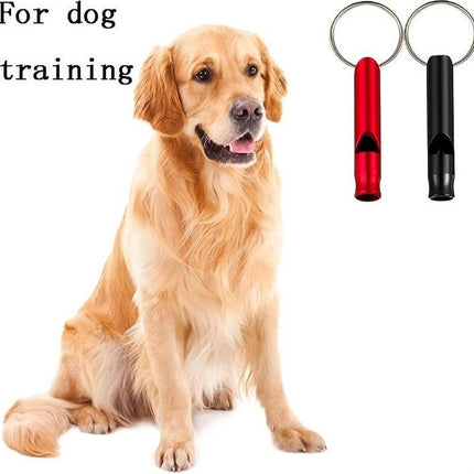 Emergency Whistle | 2 Emergency Whistles | Keychain with Emergency Whistle | In Case of Emergency.