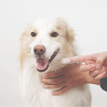Finger Toothbrush – 2 x.