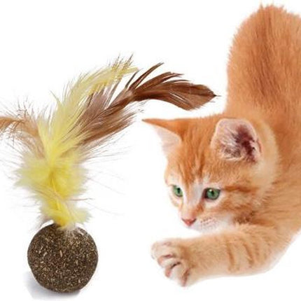 Pet Care.