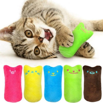 Pet Care Cartoz.