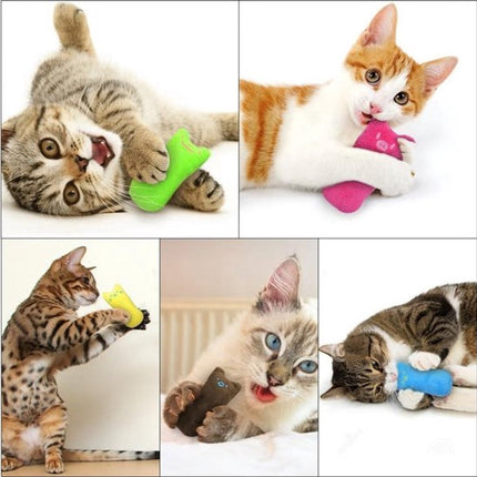 Pet Care Cartoz.