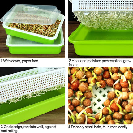 12.8x9.5x1.6 In Green Seed Sprouting Tray with Drain Holes,Microgreens Growing Trays,Growing Trays,seed Germination Propagation Trays for Garden,Home,Office.