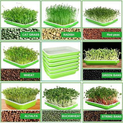 12.8x9.5x1.6 In Green Seed Sprouting Tray with Drain Holes,Microgreens Growing Trays,Growing Trays,seed Germination Propagation Trays for Garden,Home,Office.