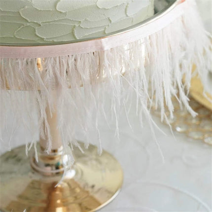 Black Ostrich Feathers Trim,78.7Inx3.15-4.3In Wide Ostrich Feathers Sewing Fringe Trim Ribbon for Latin,Masquerade Decoration Pink.