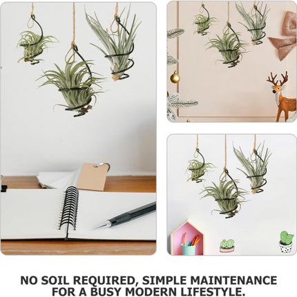Tutuviw 6 Pcs Air Pineapple Pot Air Plant Hanger Holder,Plant Stands Hanging with Jute Ropes,Modern Plants Hanger Wall Metal Air Plants Stand,Air Plants Hook Air Shelf (Black Aluminum).