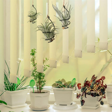 Tutuviw 6 Pcs Air Pineapple Pot Air Plant Hanger Holder,Plant Stands Hanging with Jute Ropes,Modern Plants Hanger Wall Metal Air Plants Stand,Air Plants Hook Air Shelf (Black Aluminum).