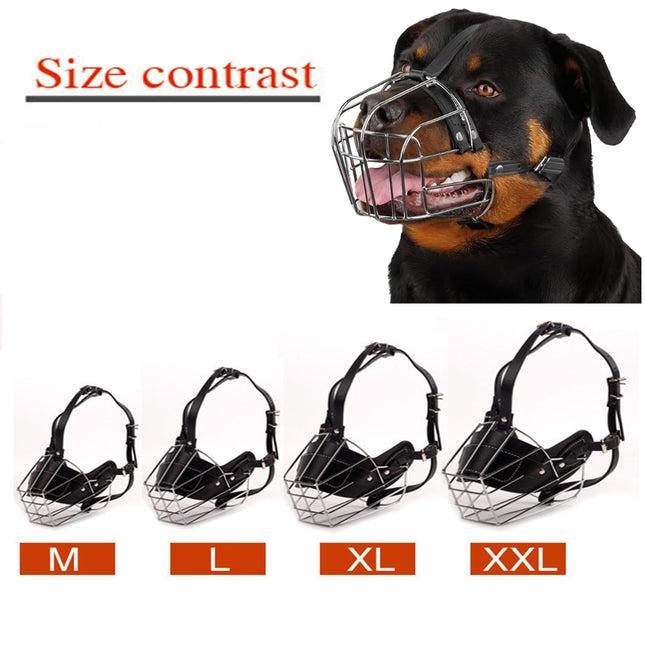 Pet Care.