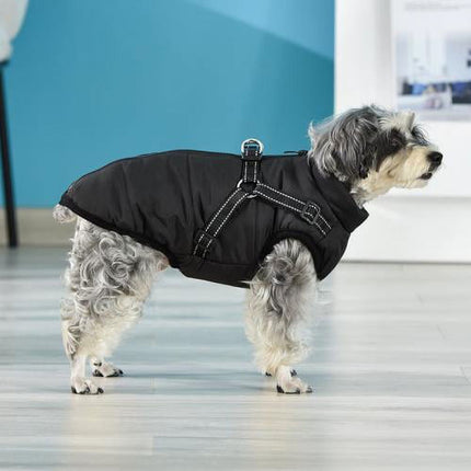 Pet Care Cartoz.
