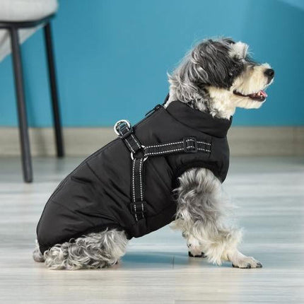 Pet Care Cartoz.