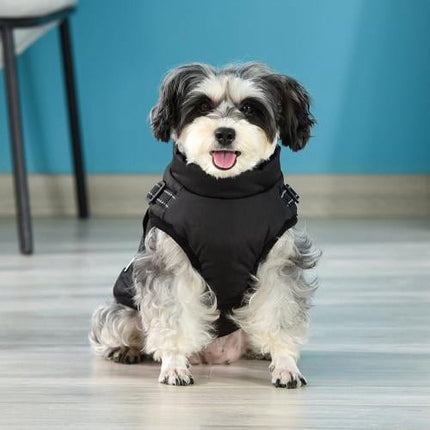 Pet Care Cartoz.
