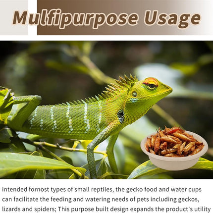 Tutuviw Biodegradable Disposable Paper Pet Bowls Bulk,100Pcs 1OZ Paper Feeding Cups,Sturdy and Leakproof Feeder Dish,Non-Toxic Food and Water Dishes for Lizards/Spiders/Reptiles/Small Dogs/Cats.