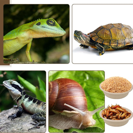 Tutuviw Biodegradable Disposable Paper Pet Bowls Bulk,100Pcs 1OZ Paper Feeding Cups,Sturdy and Leakproof Feeder Dish,Non-Toxic Food and Water Dishes for Lizards/Spiders/Reptiles/Small Dogs/Cats.