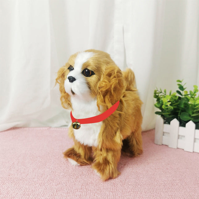 Pet Care.