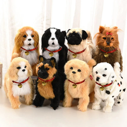 Pet Care Cartoz.