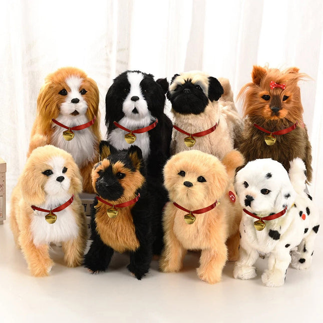 Pet Care.