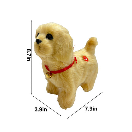 Pet Care Cartoz.