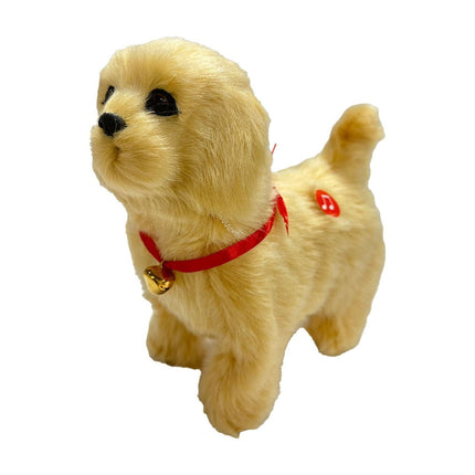 Pet Care Cartoz.