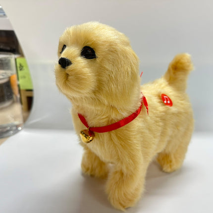Pet Care Cartoz.