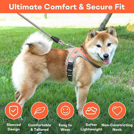 Pet Care.