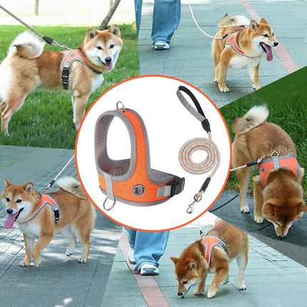 Pet Care.