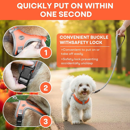 Pet Care.