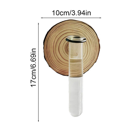 Plant Propagation Station, Wall Hanging Plants Terrarium, Wall Mounted Vases Flower Pots, Hydroponic Plants Vases, for Home Office Decor, Test Tube Propagate Air Plant Cutting Holder 1Pc.