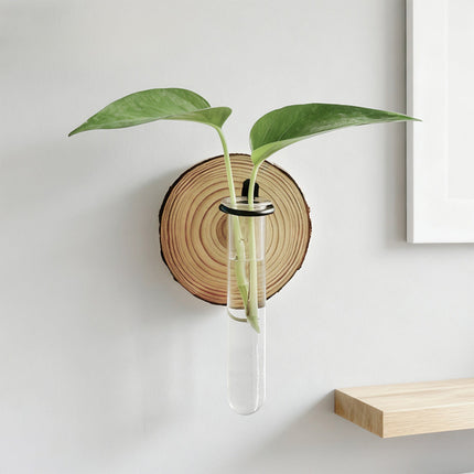 Plant Propagation Station, Wall Hanging Plants Terrarium, Wall Mounted Vases Flower Pots, Hydroponic Plants Vases, for Home Office Decor, Test Tube Propagate Air Plant Cutting Holder 1Pc.