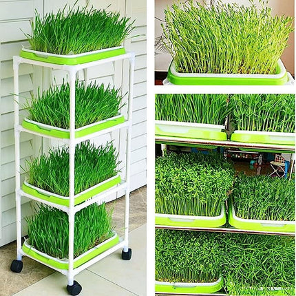 Tutuviw BPA Free Hydroponics Soilless Seeds Sprouter Microgreen Seed Sprouter Trays Seed Germination Double Tier Grow Trays with Lid 5PCS-Seed Sprouter Tray.
