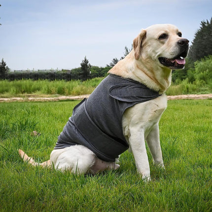 Dog Jacket, Skin-Friendly Dog Calming Vest - Dog Shirt for Thunder, Fireworks and Separation - Keep Pet Calm Without Medicine & Training, Anti Anxiety Vest for Dogs XS Dark Blue.