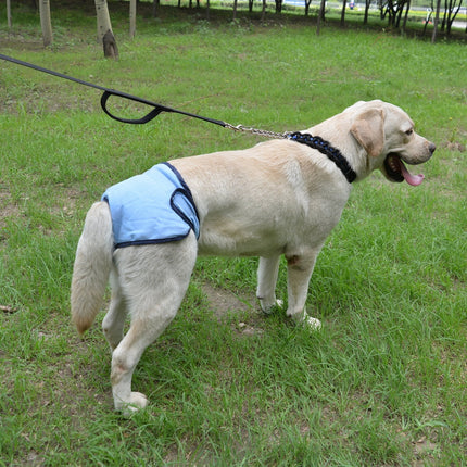 Pet Care Cartoz.