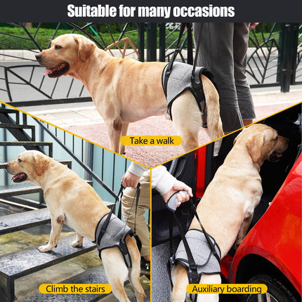 Dog Sling for Large Dogs Hind Leg Adjustable Dog Lift Harnesses For Walking/Climbing Pet Auxiliary Slings for Elderly, Disabled Dogs S.