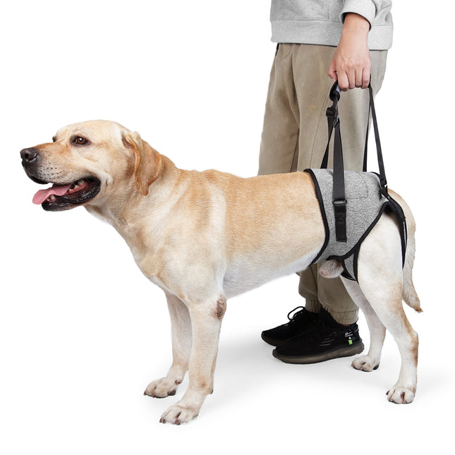 Pet Care.