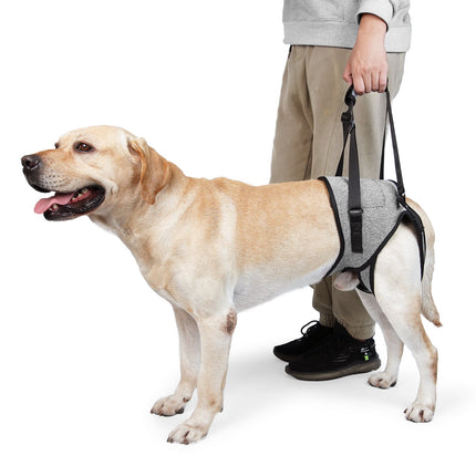 Dog Sling for Large Dogs Hind Leg Adjustable Dog Lift Harnesses For Walking/Climbing Pet Auxiliary Slings for Elderly, Disabled Dogs XL.