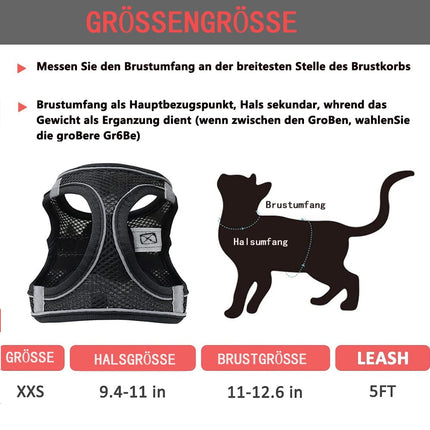 Pet Care Cartoz.