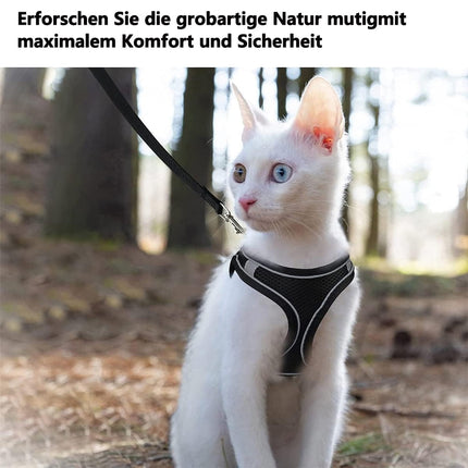 Pet Care Cartoz.