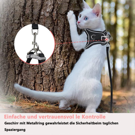 Pet Care Cartoz.