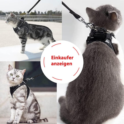 Pet Care Cartoz.