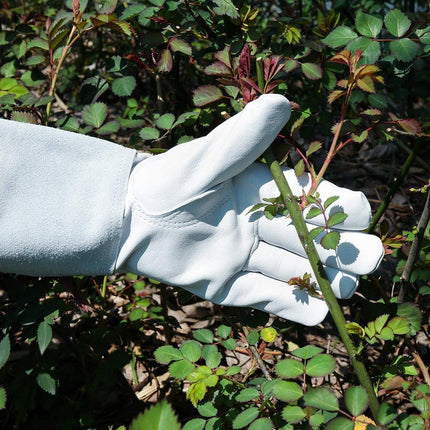 SUCCLACE Long-Gardening-Gloves for Women/Men - Thorn Proof Cowhide Leather Rose/Blackberry Pruning Heavy Duty Gloves Thick Palm Gauntlet Garden Work Gloves with Forearm Protection (Brown-Small) M Brown.