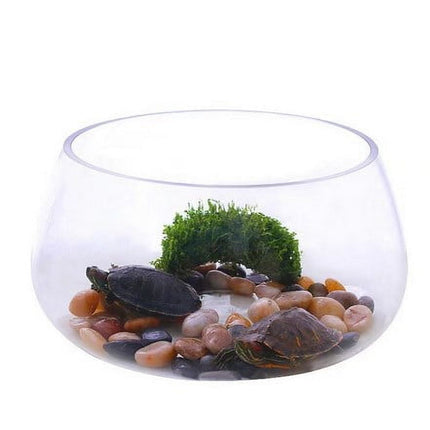 Round Clear Glass Fish Bowl Small Transparent Aquarium Tank for Desktop Fish Tank Landscaping and Turtle Habitat 0.00X0.00X0.00CM Transparent.