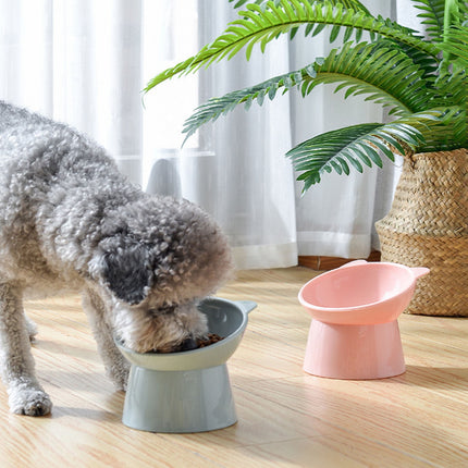 Darzheoy Raised Cat Food Bowl 15 Degrees Elevated Cat Bowls Anti Vomiting Tilted Raised Cat Food Bowl Plastic Slanted Stand Bowls for Pet Feeder Light Blue.