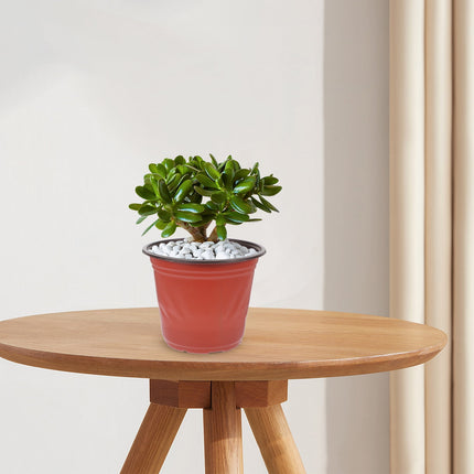 Worgeous 50 Pcs Large Plastic Planter Pots for and Plants, Garden Starter Containers.