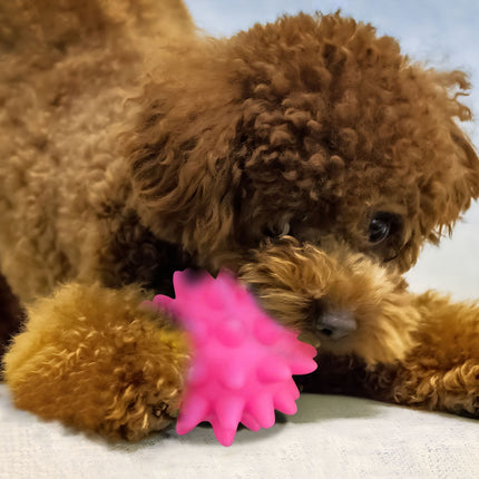 Darzheoy Squeaky Fetch Spike Balls Toys for Pet Small Dogs Puppy Rubber 2 Pack Bright Colors Chew Teething Toys Pet Squeaky Chewing Balls (Random) Multicolor.
