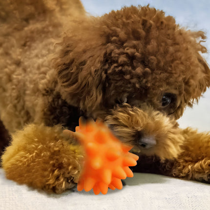 Darzheoy Squeaky Fetch Spike Balls Toys for Pet Small Dogs Puppy Rubber 2 Pack Bright Colors Chew Teething Toys Pet Squeaky Chewing Balls (Random) Multicolor.