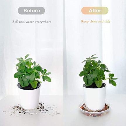 Darzheoy 5 Pack Clear Plastic Plant Saucers Drip Trays Plant Plate Dish for Indoor Planters Flower Pots, 10 inch A.