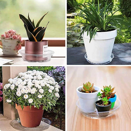 Darzheoy 5 Pack Clear Plastic Plant Saucers Drip Trays Plant Plate Dish for Indoor Planters Flower Pots, 10 inch B.