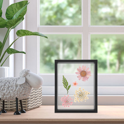 SKISUNO Double-Sided Glass Photo Frame 10.5x8.3in Clear Transparent Picture Frame Set of 1.