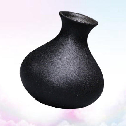 HOOWIFFY Black Ceramic Vase for Plants, Home Decor, Flower Pot, Modern Ornamental Plant Holder.