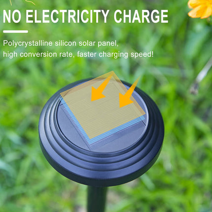 Darzheoy Solar Outdoor Lights, Solar Pathway Lights Outdoor, Solar Powered Garden Yard Lights for Walkway Sidewalk Driveway, Maintain 10 Hours of Lighting (2 Pack) 2 Pack Black.